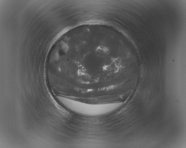 X0000076071229200610202005