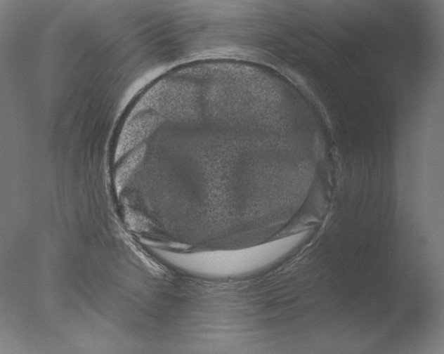 X0000076071230200610202005