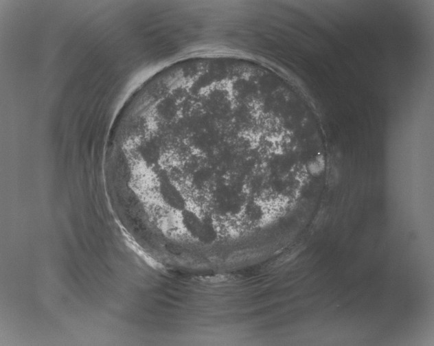 X0000076071231200610202005