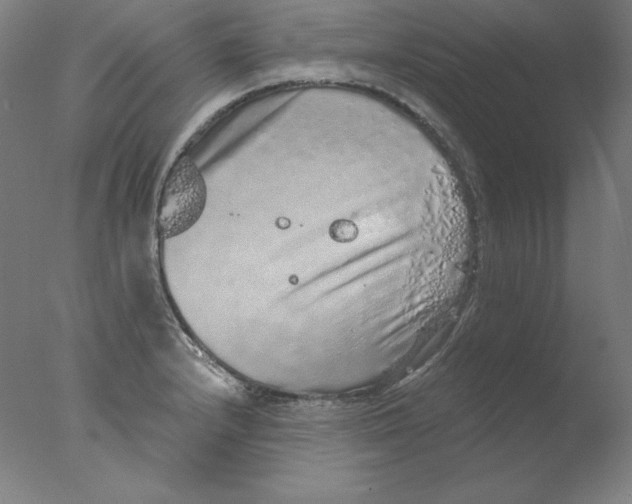 X0000076071232200610202006