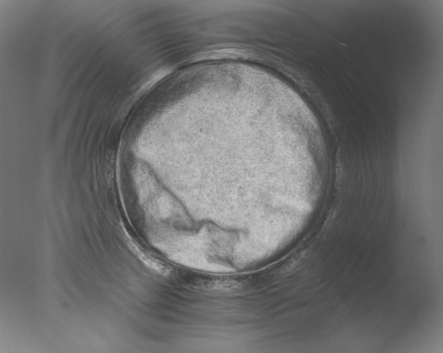 X0000076071233200610202006