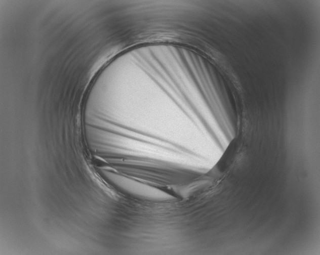 X0000076071234200610202006