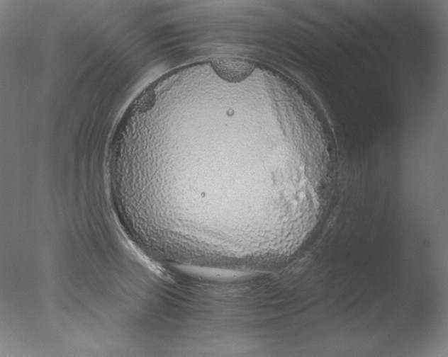 X0000076071235200610202006