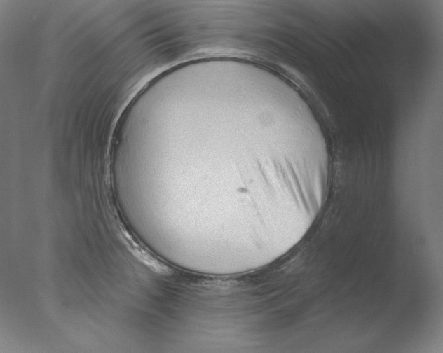 X0000076071236200610202006