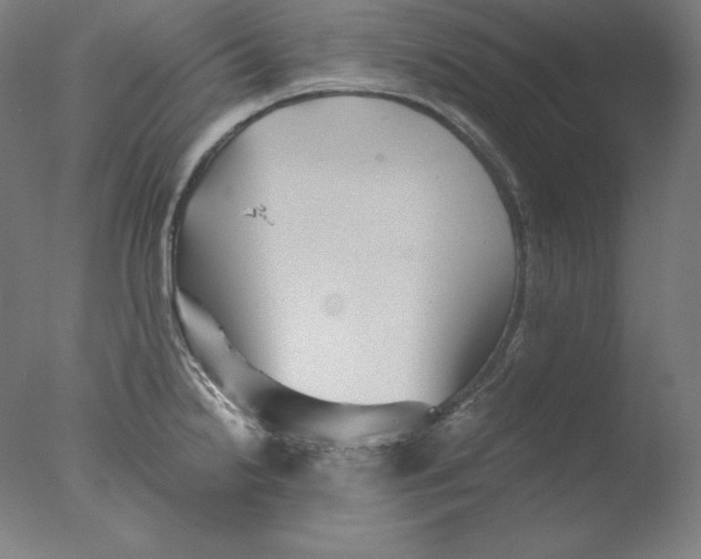 X0000076071238200610202006