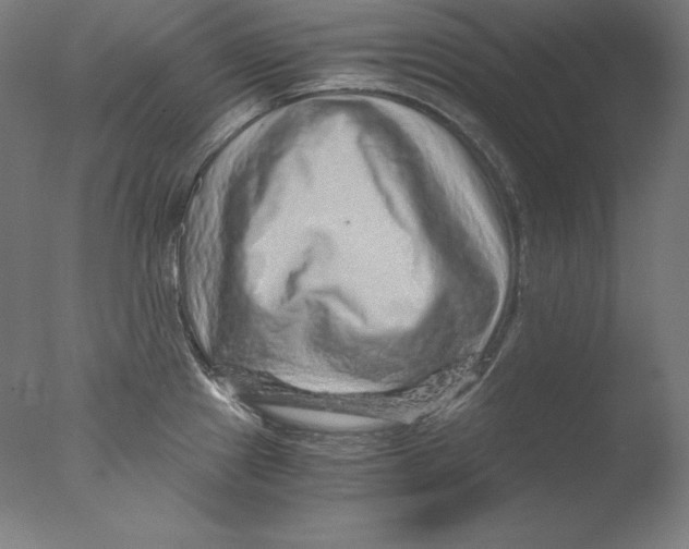 X0000076071241200610202006