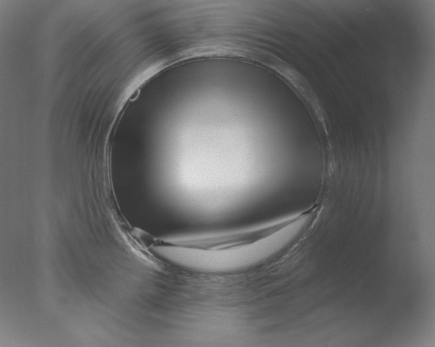 X0000076071242200610202006