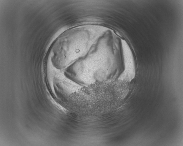 X0000076071243200610202006