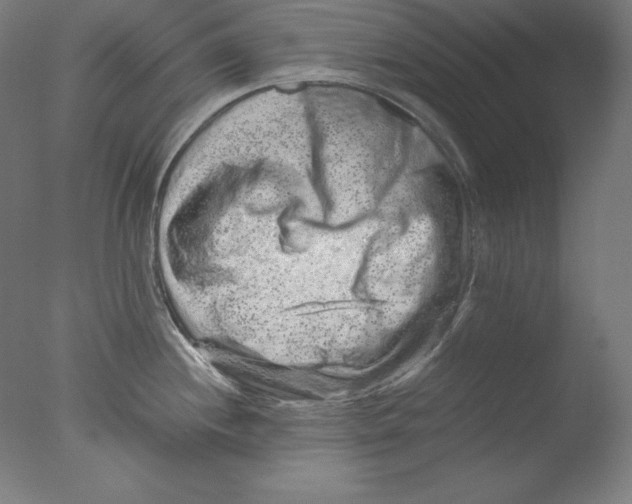 X0000076071244200610202006