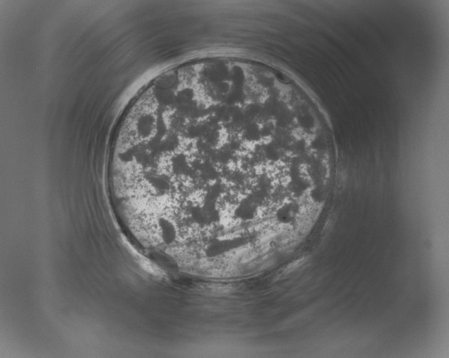 X0000076071245200610202006