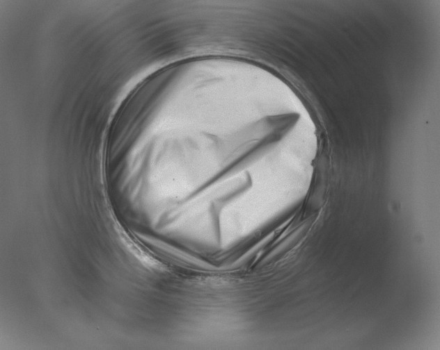 X0000076071246200610202006