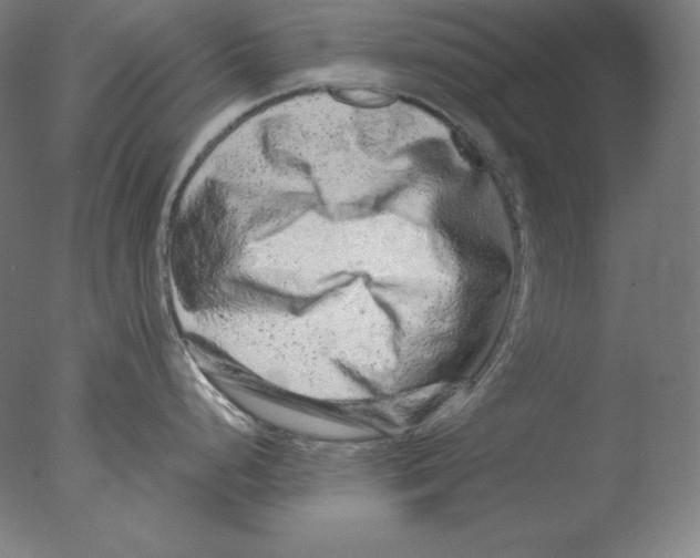 X0000076071248200610202006