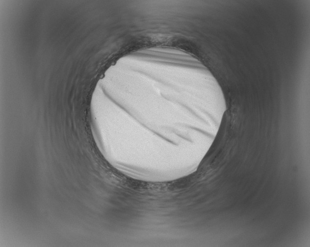 X0000076071249200610202005