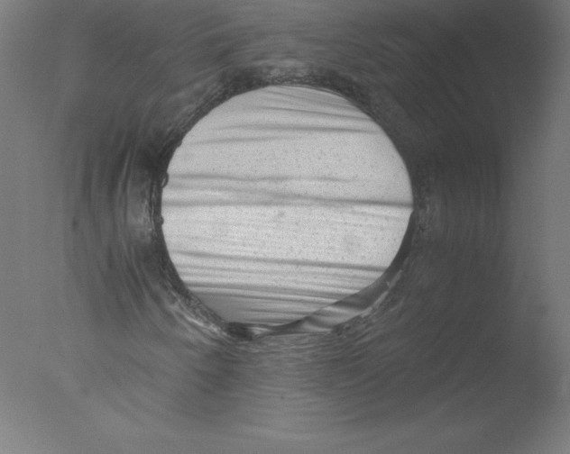 X0000076071250200610202005