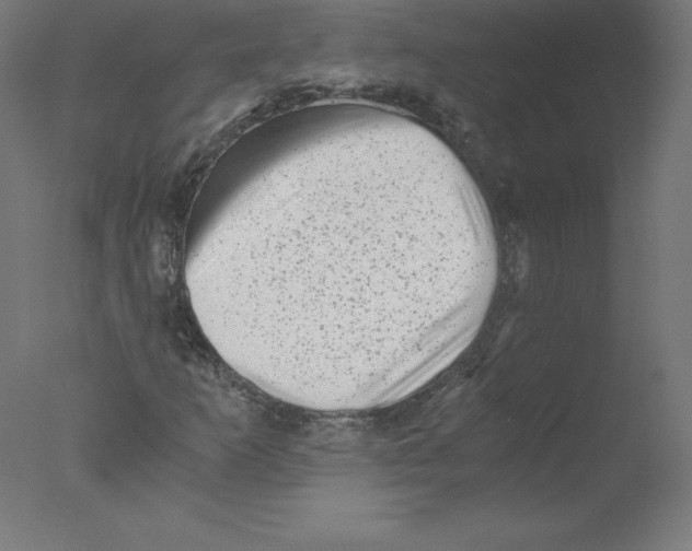 X0000076071253200610202005