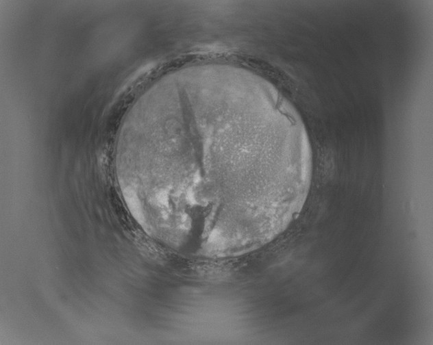 X0000076071254200610202005