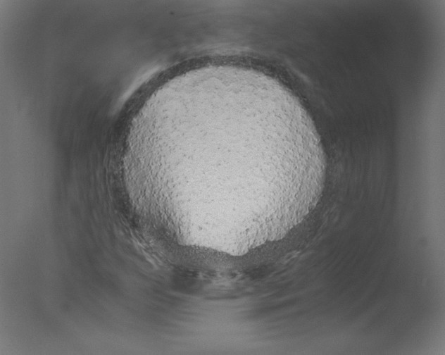 X0000076071255200610202005