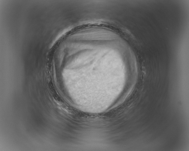 X0000076071256200610202005