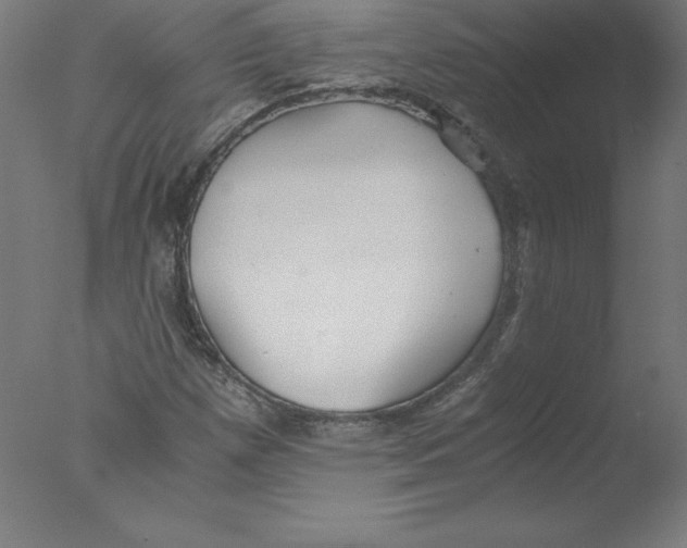 X0000076071257200610202005