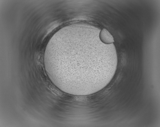 X0000076071258200610202005