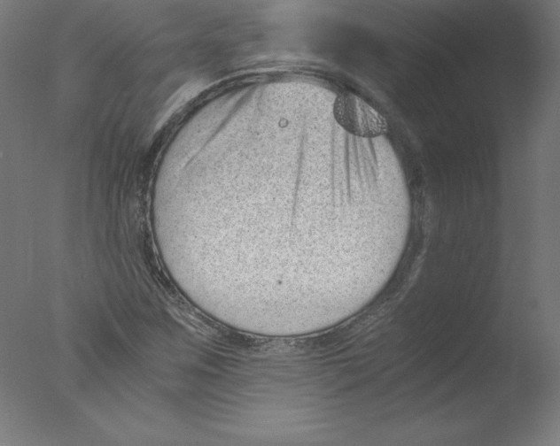 X0000076071259200610202005