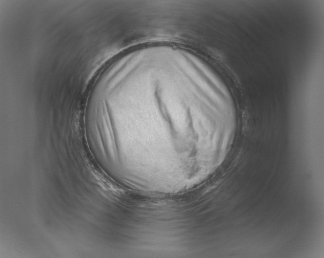 X0000076071260200610202005