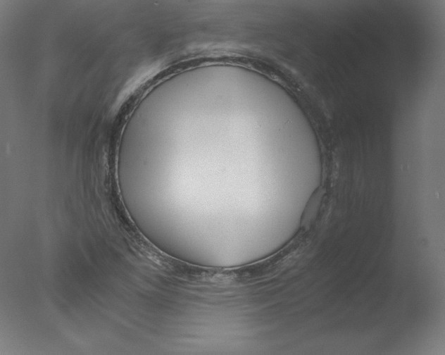 X0000076071261200610202005