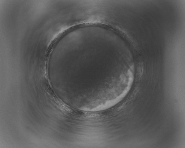 X0000076071262200610202005