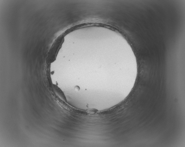 X0000076071264200610202005