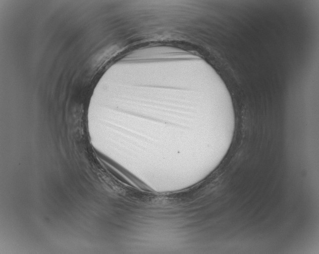 X0000076071265200610202005