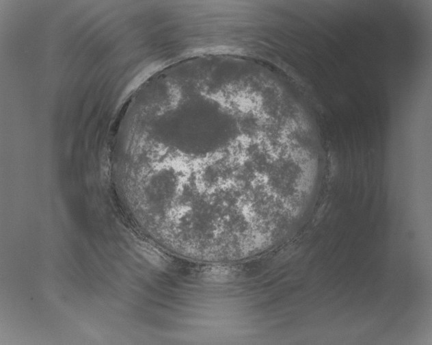 X0000076071266200610202005