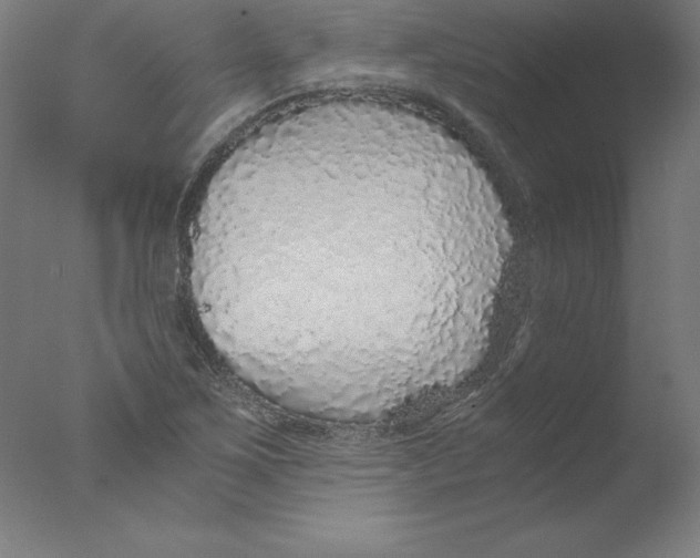 X0000076071267200610202005