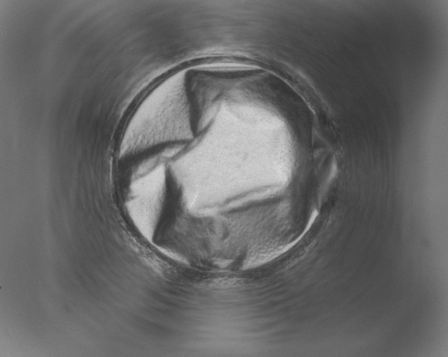 X0000076071268200610202005