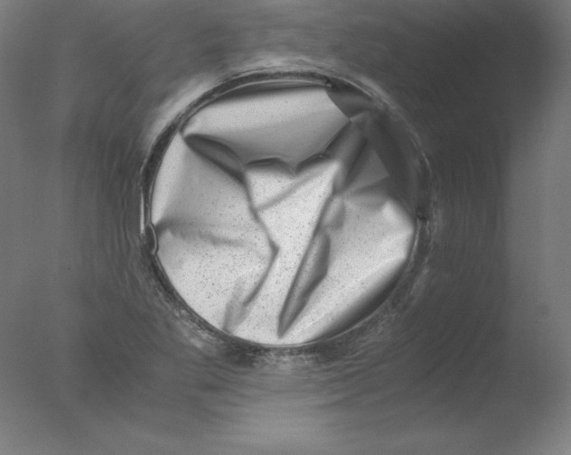 X0000076071269200610202005