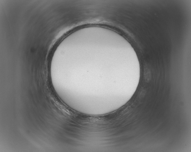 X0000076071270200610202005