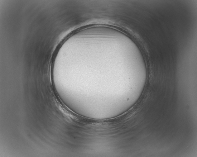 X0000076071272200610202005