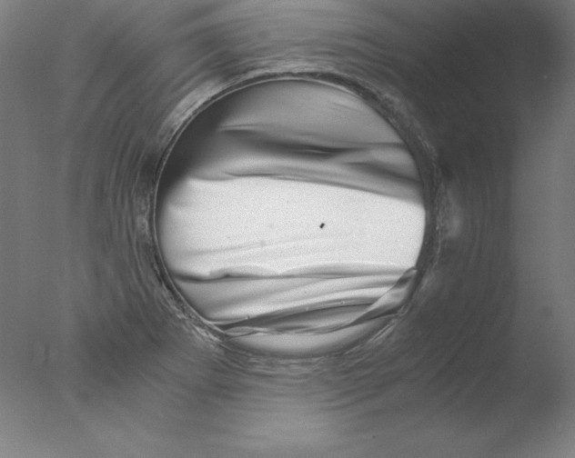 X0000076071273200610202005