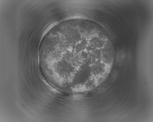 X0000076071274200610202005