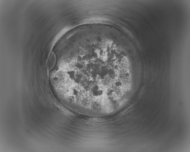 X0000076071275200610202005