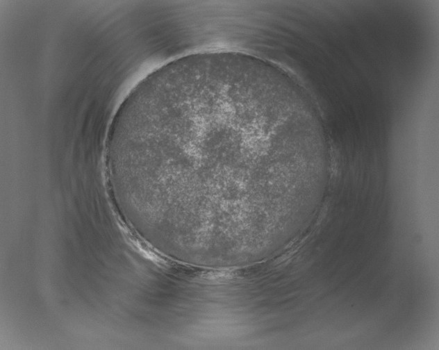 X0000076071278200610202004