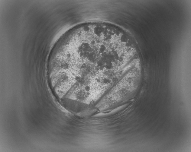 X0000076071279200610202004