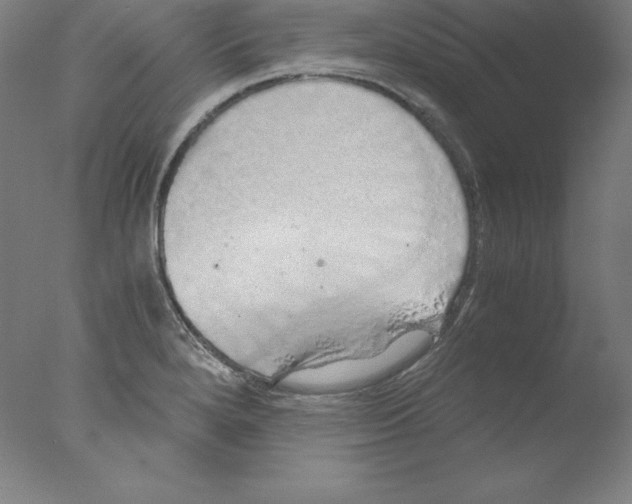 X0000076071280200610202004