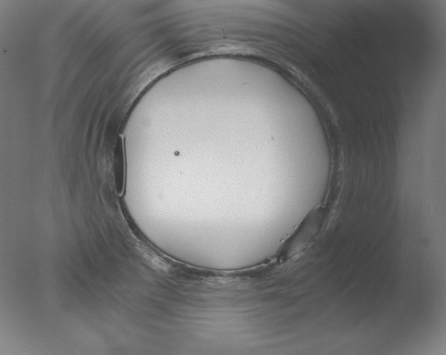 X0000076071281200610202004