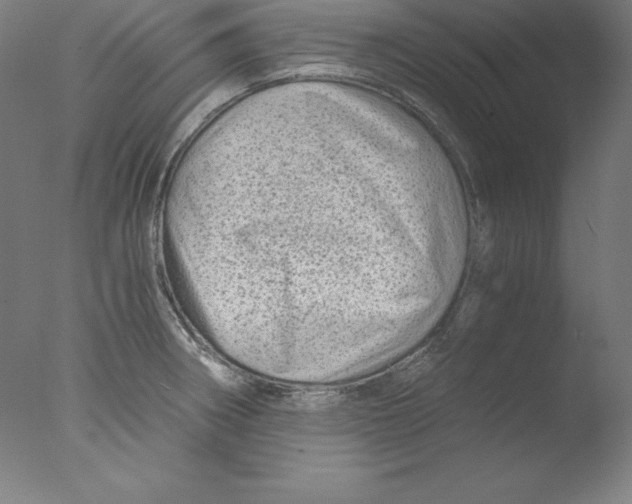 X0000076071282200610202004