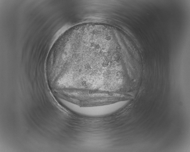 X0000076071283200610202004