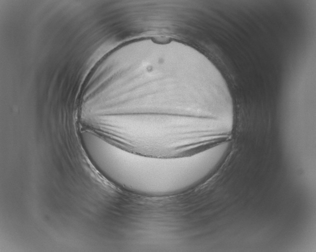 X0000076071284200610202004