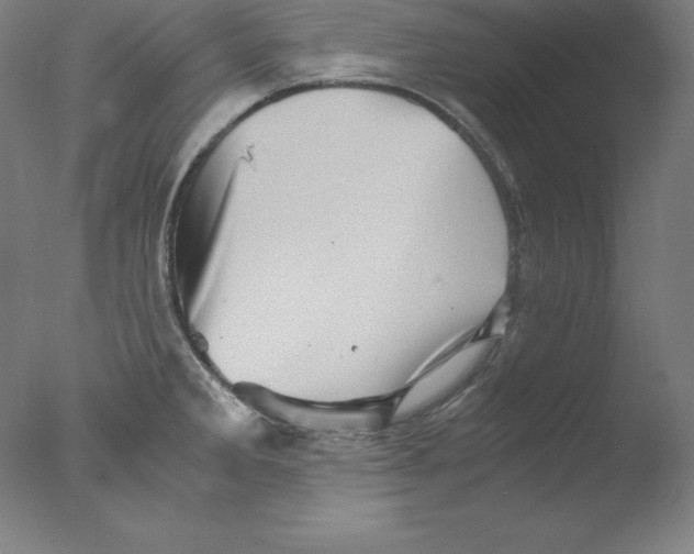 X0000076071285200610202004