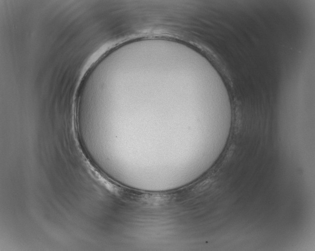 X0000076071286200610202004