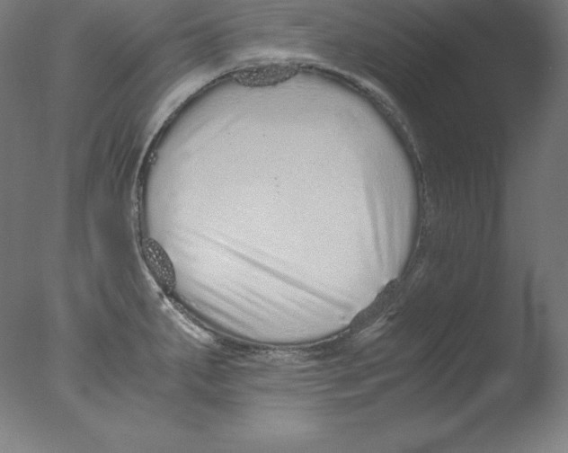 X0000076071287200610202004