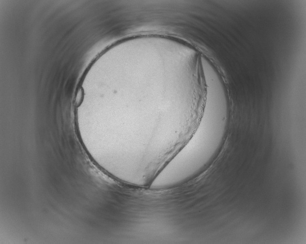 X0000076071288200610202004